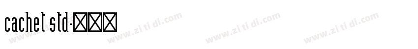 cachet std字体转换